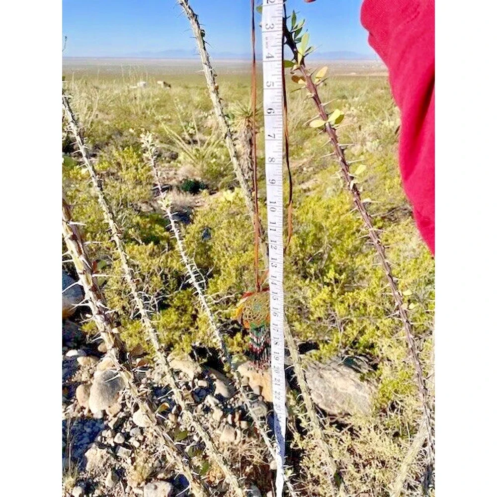 Native American Beaded Necklace 18.5" Handmade by Marian Curly - Picture 4 of 4